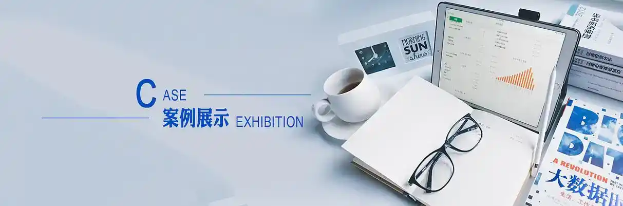 昭苏县软件开发